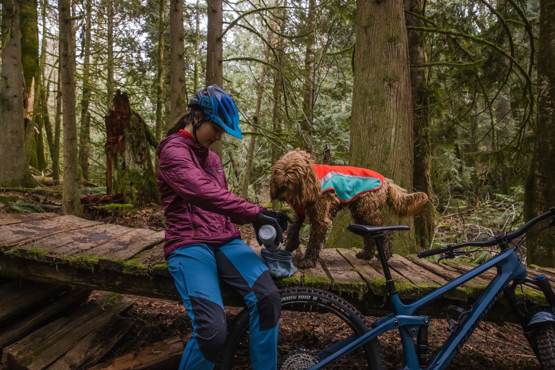 Lumenglow High - Vis Jacket (Ruffwear) - SnowPaw Store - Ruffwear - Dog Coats