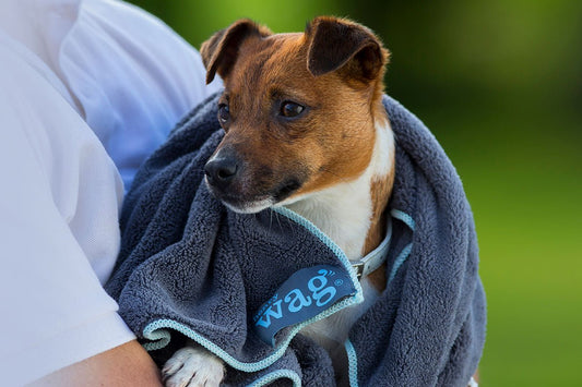 Microfibre Cleaning Towel (Henry Wag) - SnowPaw Store - Henry Wag - Active Dog Gear
