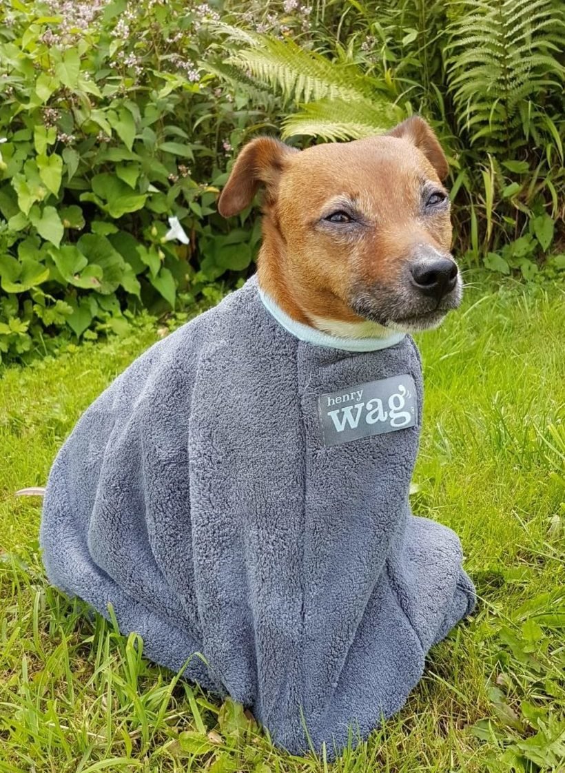 Microfibre Dog Drying Bag (Henry Wag) - SnowPaw Store - Henry Wag - Active Dog Gear