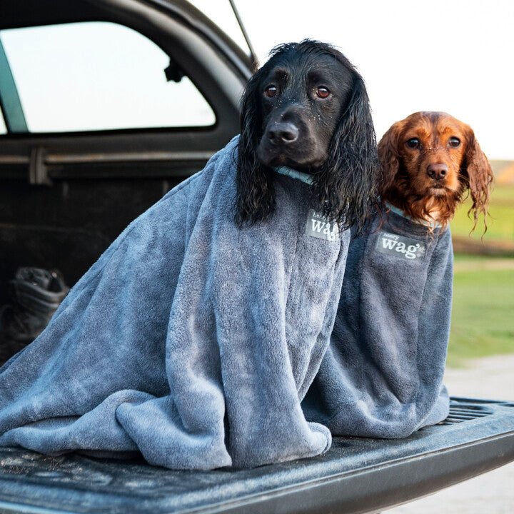 Microfibre Dog Drying Bag (Henry Wag) - SnowPaw Store - Henry Wag - Active Dog Gear