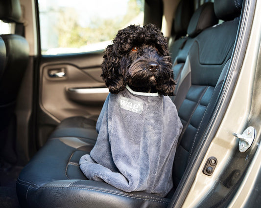 Microfibre Dog Drying Bag (Henry Wag) - SnowPaw Store - Henry Wag - Active Dog Gear