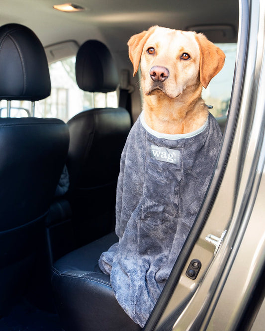 Microfibre Dog Drying Bag (Henry Wag) - SnowPaw Store - Henry Wag - Active Dog Gear