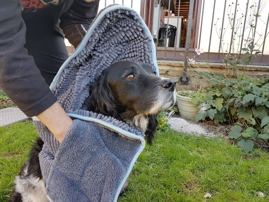 Microfibre Pet Noodle Glove Towel (Henry Wag) - SnowPaw Store - Henry Wag - Active Dog Gear