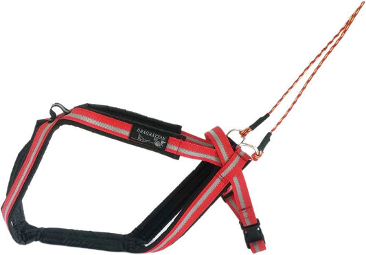 Multi - Sports Dog Harness (Dragrattan) - SnowPaw Store - Dragrattan - Dog Harness