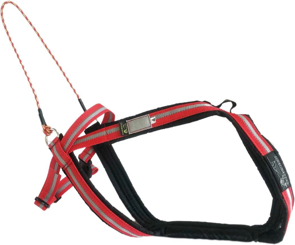 Multi - Sports Dog Harness (Dragrattan) - SnowPaw Store - Dragrattan - Dog Harness