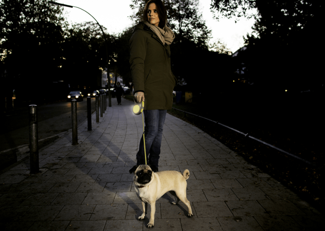 Neon Extending Tape Lead (Flexi) - SnowPaw Store - Flexi - Dog Collars, Leads, Belts