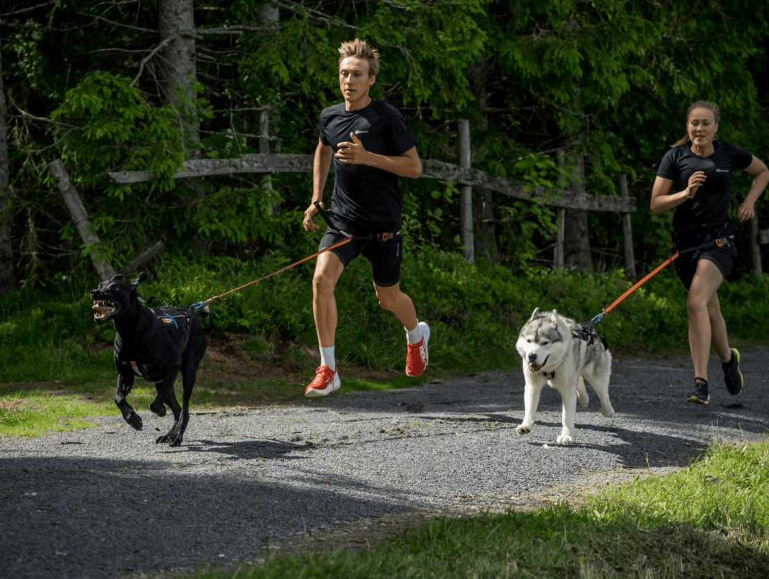 ***NEW COLOUR*** CaniX Tech Tee (Non - Stop Dogwear) - SnowPaw Store - Non - Stop Dogwear - Active Human Gear