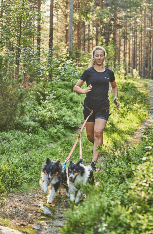 ***NEW COLOUR*** CaniX Tech Tee (Non - Stop Dogwear) - SnowPaw Store - Non - Stop Dogwear - Active Human Gear