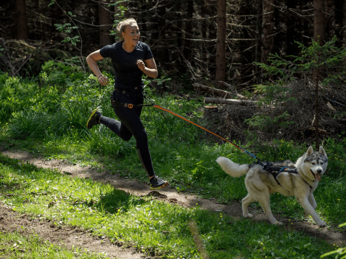 ***NEW COLOUR*** CaniX Tech Tee (Non - Stop Dogwear) - SnowPaw Store - Non - Stop Dogwear - Active Human Gear