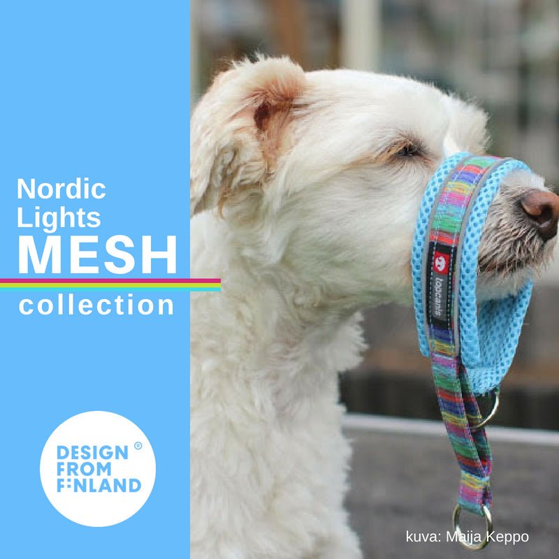 Nordic Lights Mesh collar (Finnero) - SnowPaw Store - Finnero - Dog Collars, Leads, Belts