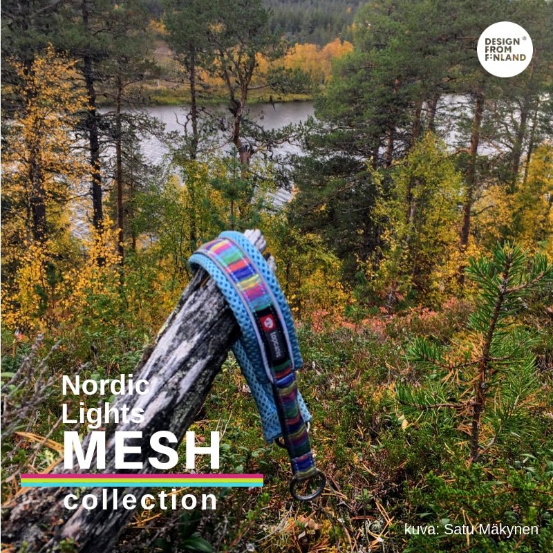 Nordic Lights Mesh collar (Finnero) - SnowPaw Store - Finnero - Dog Collars, Leads, Belts
