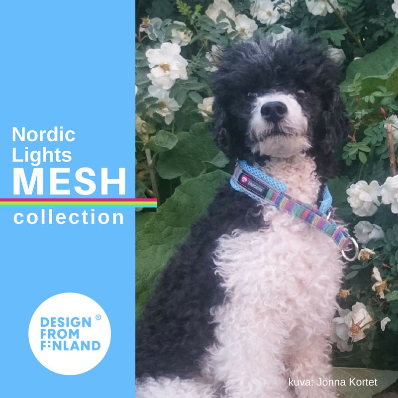 Nordic Lights Mesh collar (Finnero) - SnowPaw Store - Finnero - Dog Collars, Leads, Belts