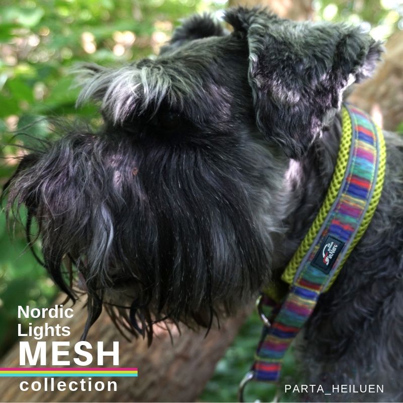 Nordic Lights Mesh collar (Finnero) - SnowPaw Store - Finnero - Dog Collars, Leads, Belts