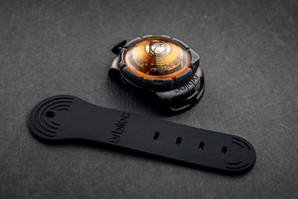 Orbiloc Dog Dual Safety Light - SnowPaw Store - Orbiloc - Active Dog Gear