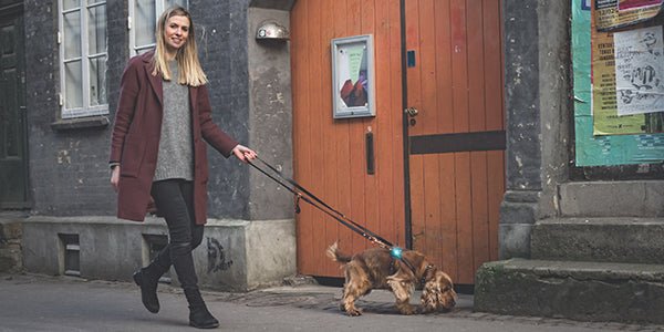 Orbiloc Dog Dual Safety Light - SnowPaw Store - Orbiloc - Active Dog Gear