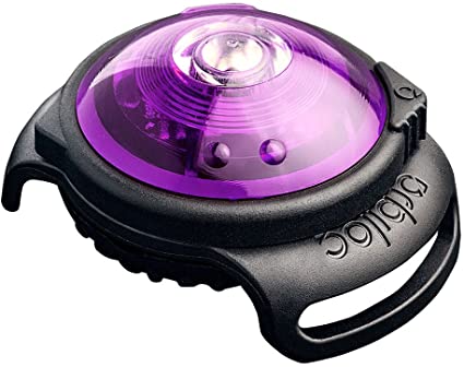 Orbiloc Dog Dual Safety Light - SnowPaw Store - Orbiloc - Active Dog Gear