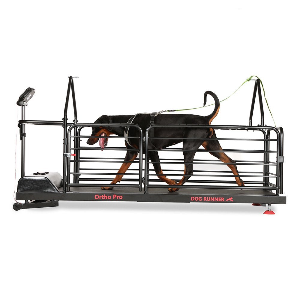 Ortho Pro Treadmill for Dogs (Dog Runner) - SnowPaw Store - Dog Runner - Active Dog Gear
