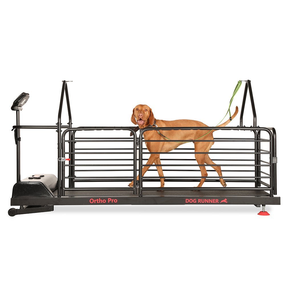 Ortho Pro Treadmill for Dogs (Dog Runner) - SnowPaw Store - Dog Runner - Active Dog Gear