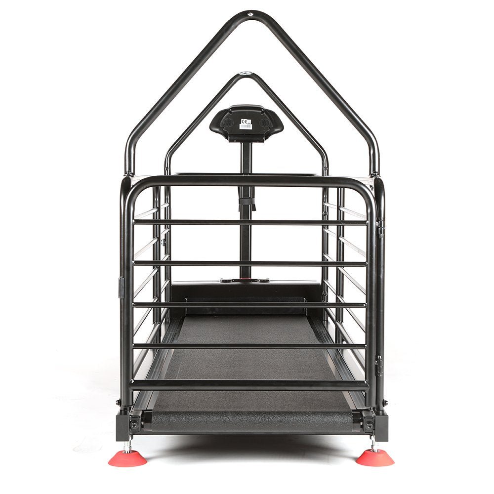 Ortho Pro Treadmill for Dogs (Dog Runner) - SnowPaw Store - Dog Runner - Active Dog Gear