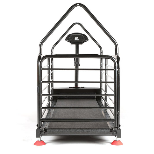 Ortho Pro Treadmill for Dogs (Dog Runner) - SnowPaw Store - Dog Runner - Active Dog Gear