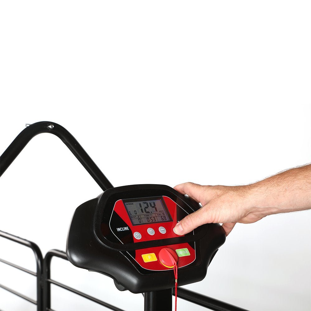 Ortho Pro Treadmill for Dogs (Dog Runner) - SnowPaw Store - Dog Runner - Active Dog Gear