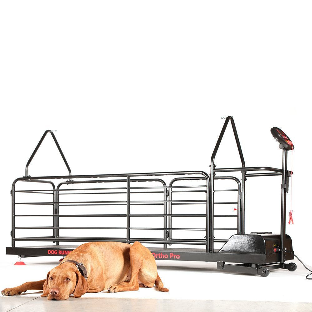Ortho Pro Treadmill for Dogs (Dog Runner) - SnowPaw Store - Dog Runner - Active Dog Gear