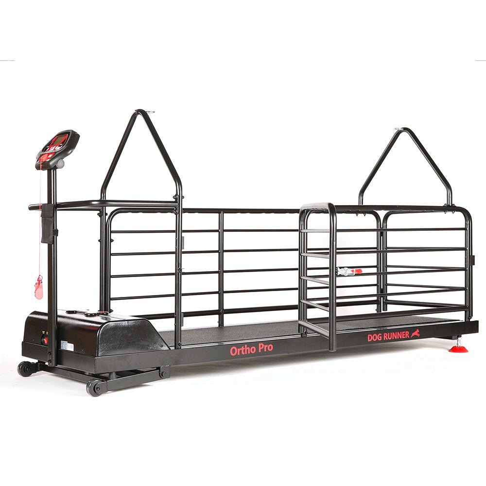 Ortho Pro Treadmill for Dogs (Dog Runner) - SnowPaw Store - Dog Runner - Active Dog Gear