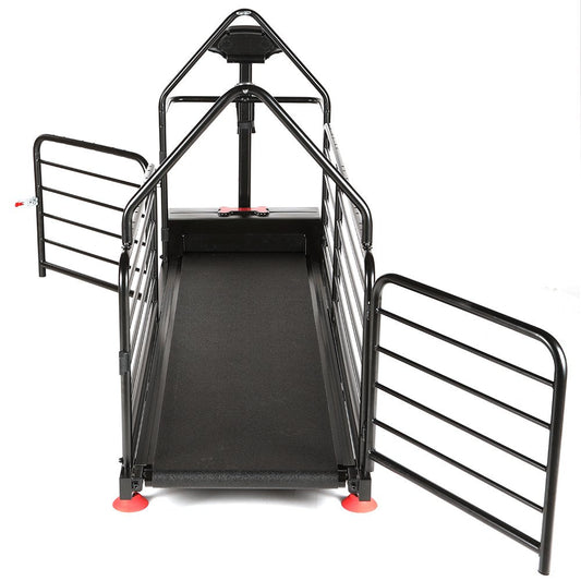 Ortho Pro Treadmill for Dogs (Dog Runner) - SnowPaw Store - Dog Runner - Active Dog Gear