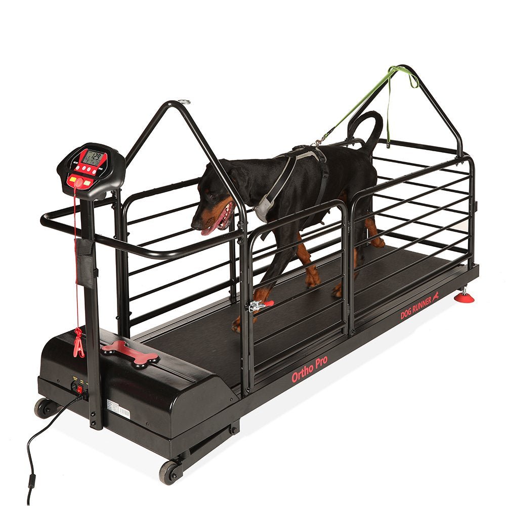 Ortho Pro Treadmill for Dogs (Dog Runner) - SnowPaw Store - Dog Runner - Active Dog Gear