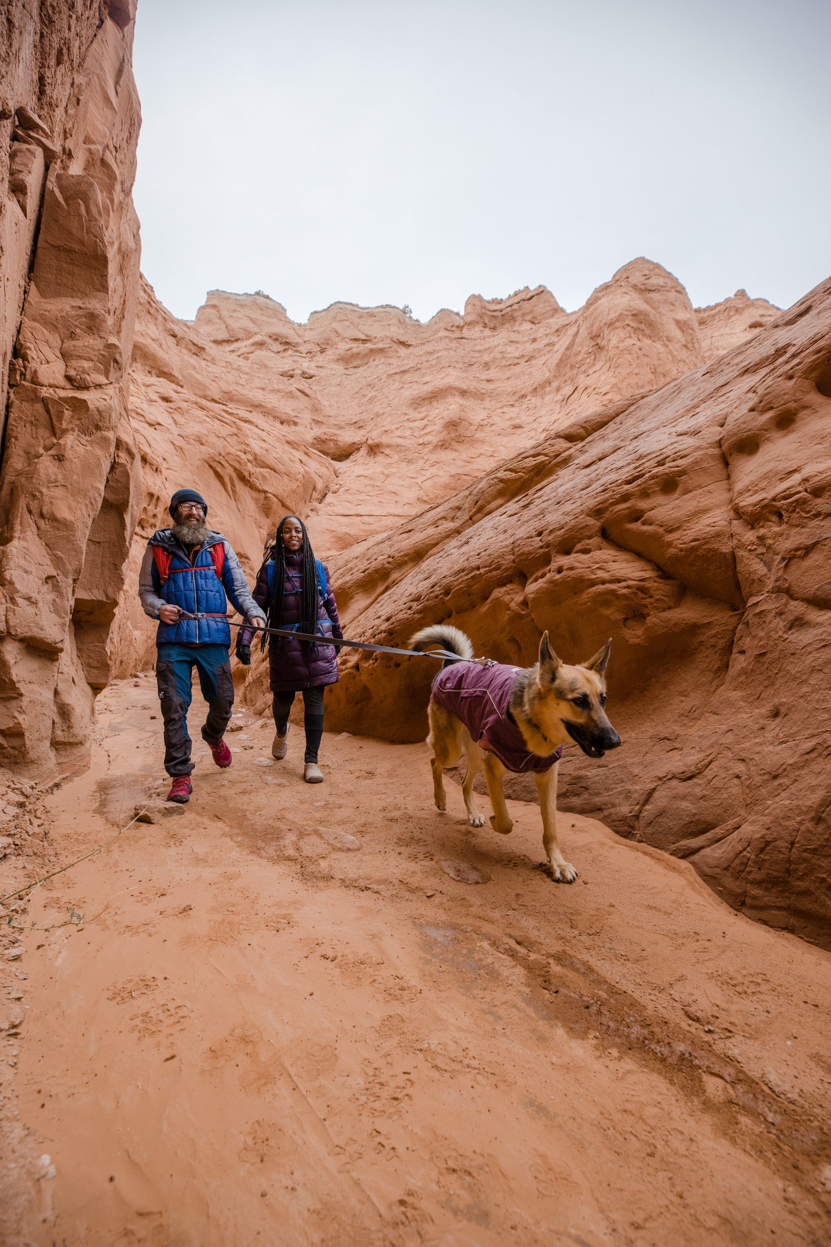 Overcoat Fuse™ Jacket (Ruffwear) - SnowPaw Store - Ruffwear - Active Dog Gear