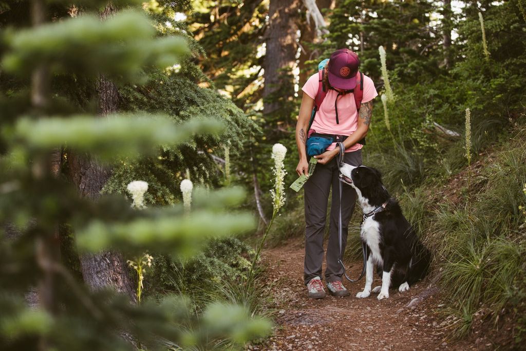PACK OUT BAG™ (Ruffwear) - SnowPaw Store - Ruffwear - Active Human Gear