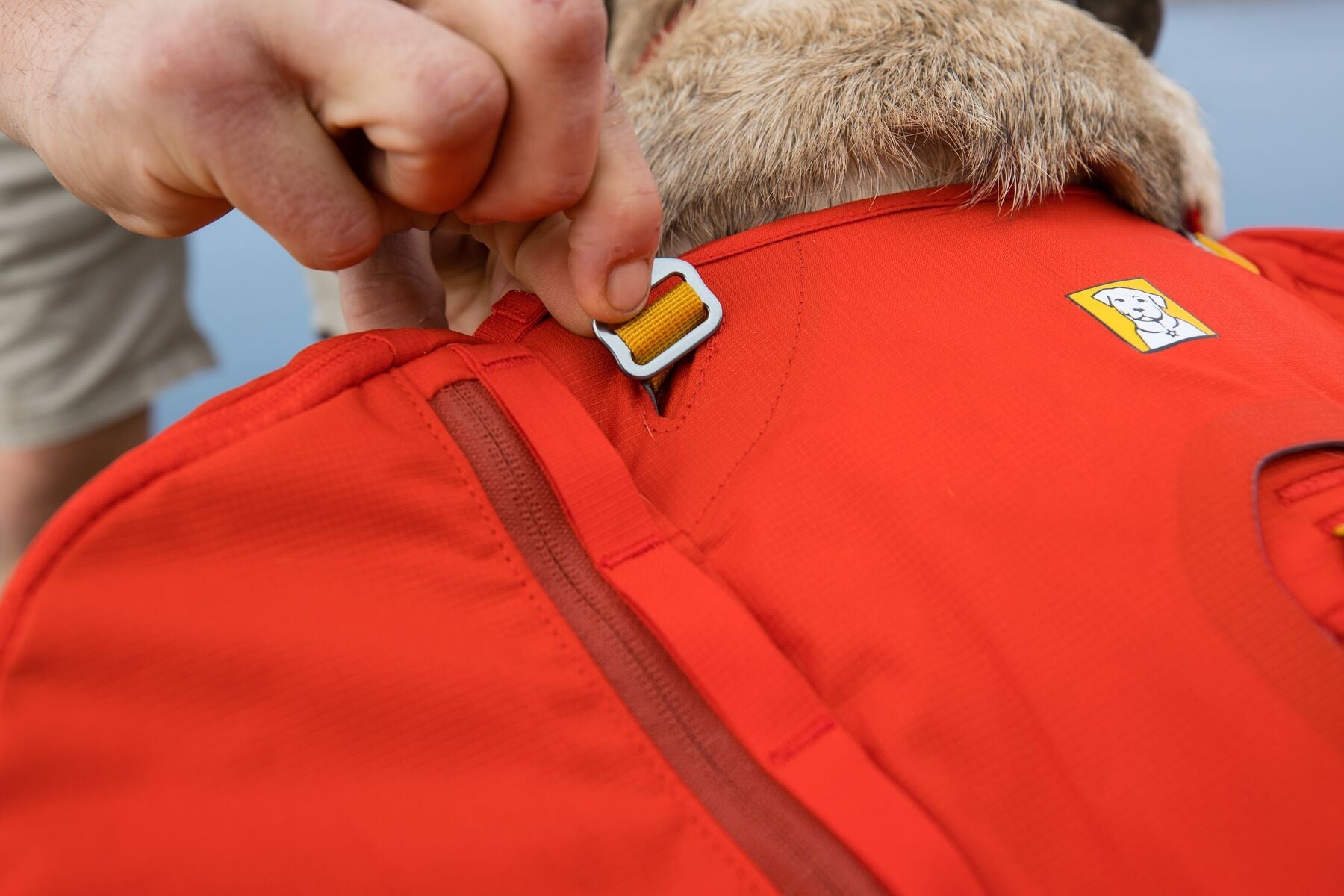 Palisades Pack (Ruffwear) - SnowPaw Store - Ruffwear - Active Dog Gear