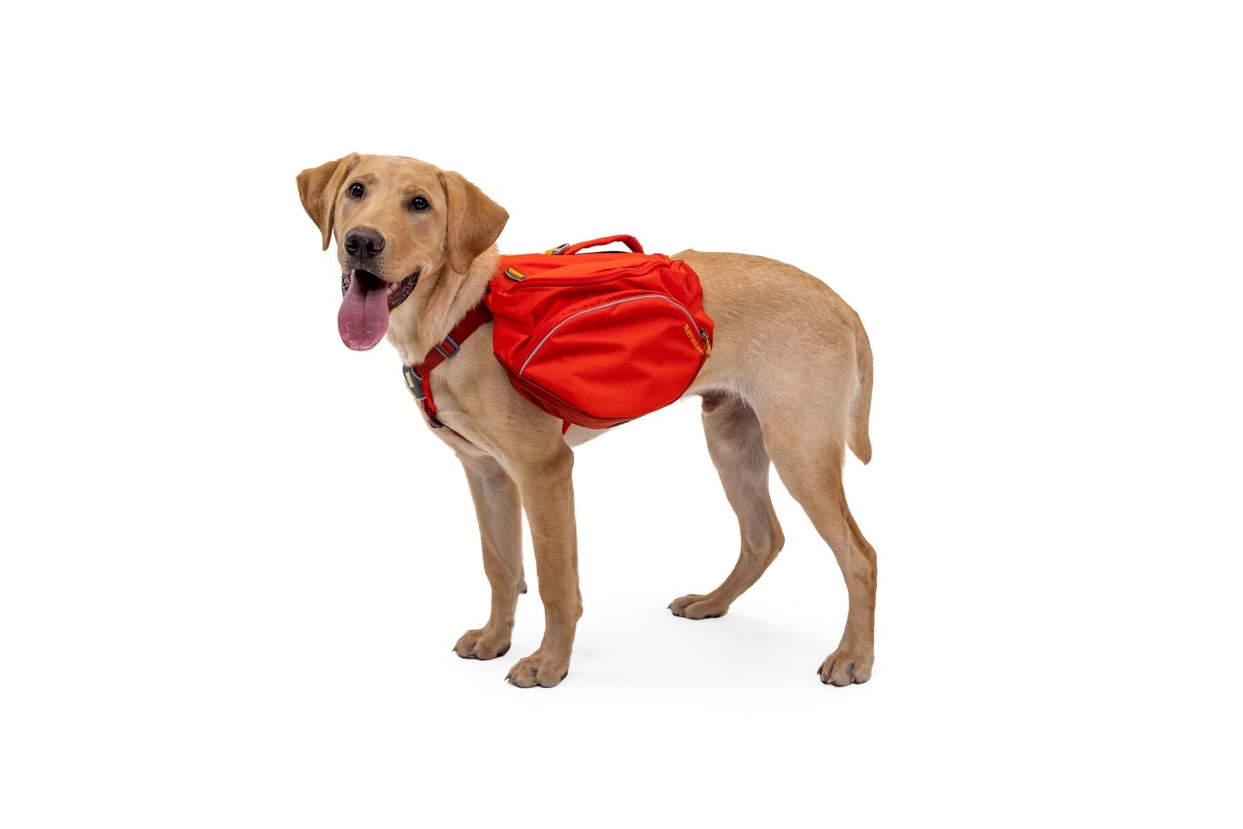 Palisades Pack (Ruffwear) - SnowPaw Store - Ruffwear - Active Dog Gear