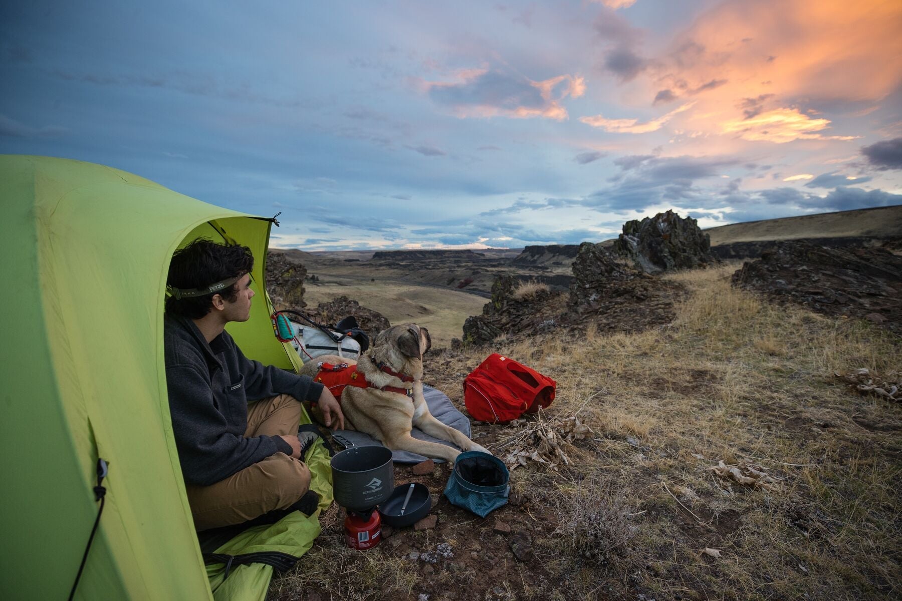 Palisades Pack (Ruffwear) - SnowPaw Store - Ruffwear - Active Dog Gear
