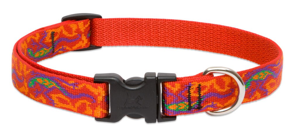 Patterned Adjustable Collar (Lupine) - SnowPaw Store - Lupine - Dog Collars, Leads, Belts