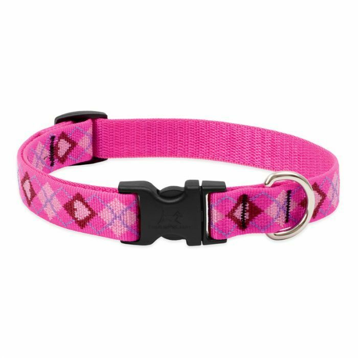 Patterned Adjustable Collar (Lupine) - SnowPaw Store - Lupine - Dog Collars, Leads, Belts