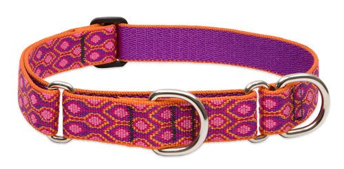 Patterned Martingale Collar (Lupine) - SnowPaw Store - Lupine - Dog Collars, Leads, Belts