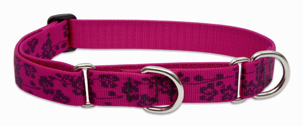 Patterned Martingale Collar (Lupine) - SnowPaw Store - Lupine - Dog Collars, Leads, Belts