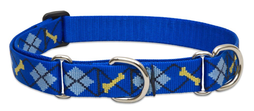 Patterned Martingale Collar (Lupine) - SnowPaw Store - Lupine - Dog Collars, Leads, Belts