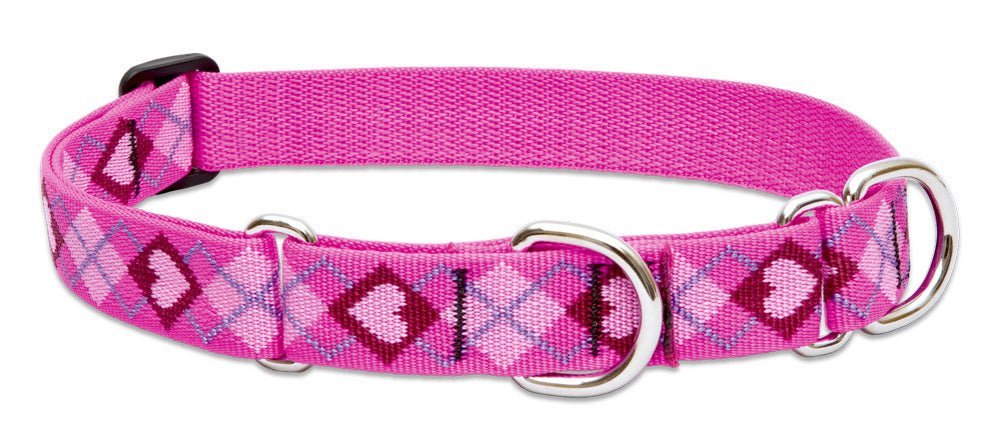 Patterned Martingale Collar (Lupine) - SnowPaw Store - Lupine - Dog Collars, Leads, Belts