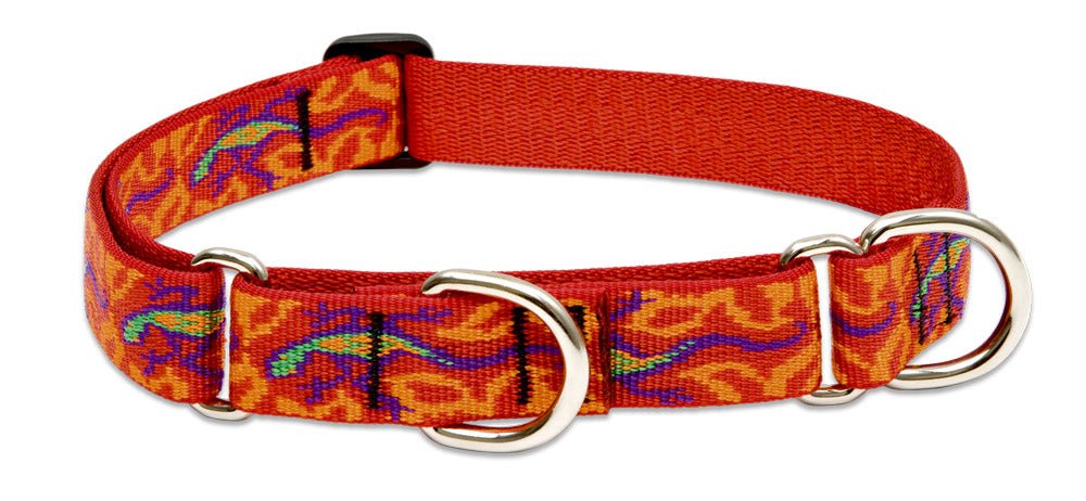 Patterned Martingale Collar (Lupine) - SnowPaw Store - Lupine - Dog Collars, Leads, Belts
