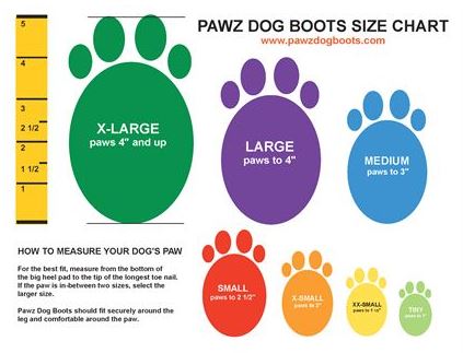 Pawz Disposable Dog Boots - SnowPaw Store - Pawz - Dog Boots