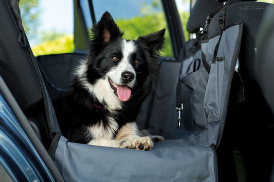 Pet Car Hammock (Henry Wag) - SnowPaw Store - Henry Wag - Travel