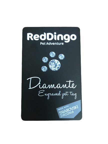 Pet ID Tag Gift Card (Red Dingo) - SnowPaw Store - Red Dingo - Active Dog Gear