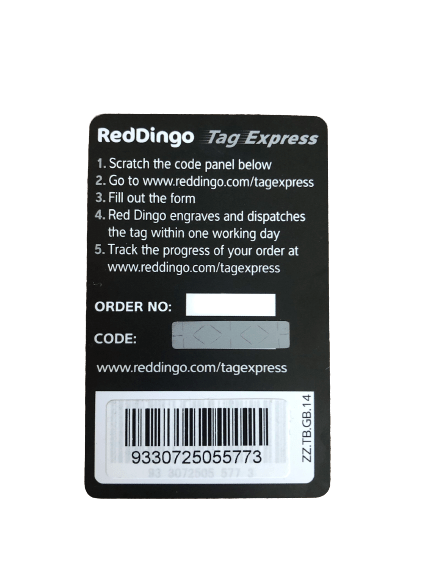 Pet ID Tag Gift Card (Red Dingo) - SnowPaw Store - Red Dingo - Active Dog Gear