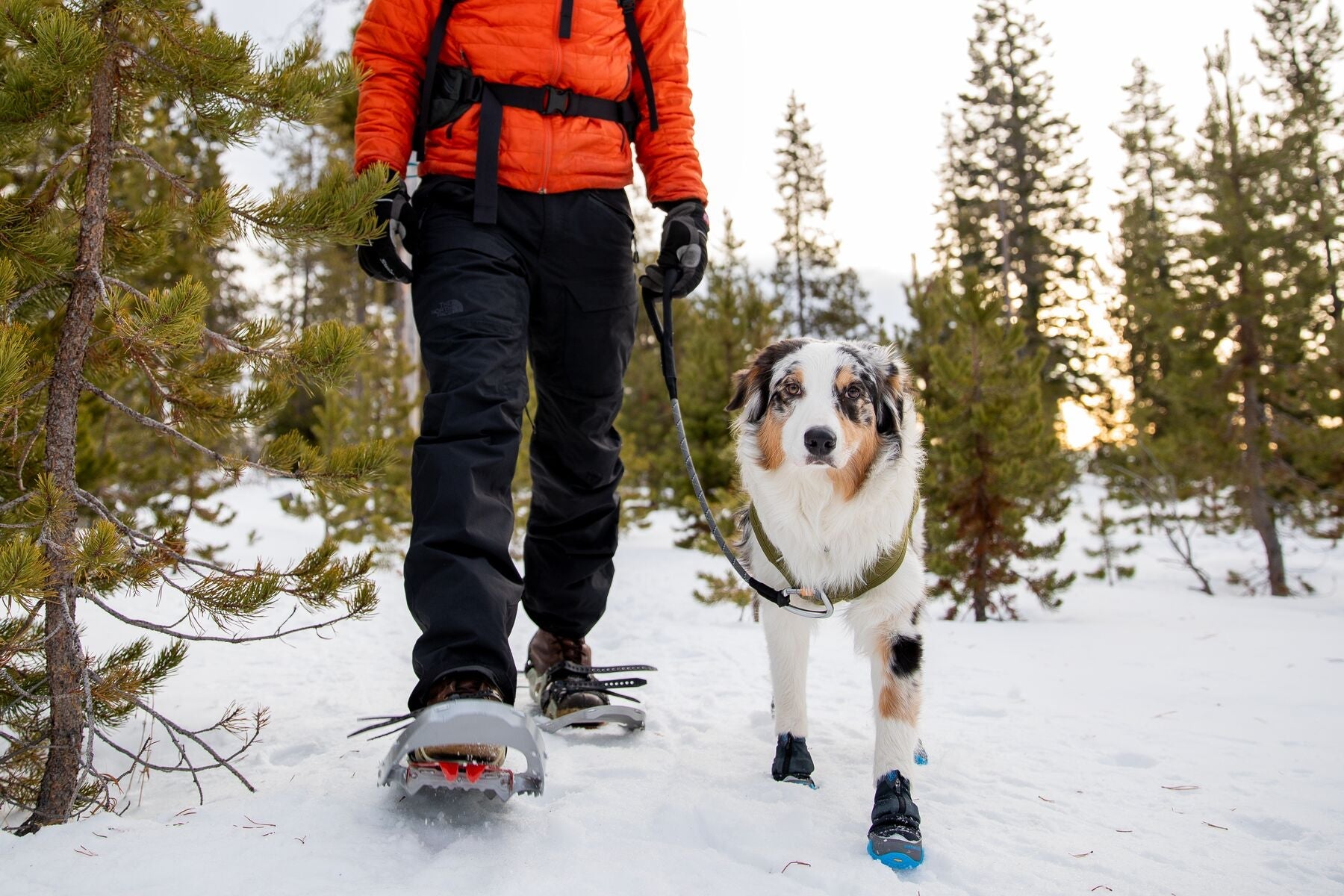 POLAR TREX™ Boots (Ruffwear) - SnowPaw Store - Ruffwear - Active Dog Gear