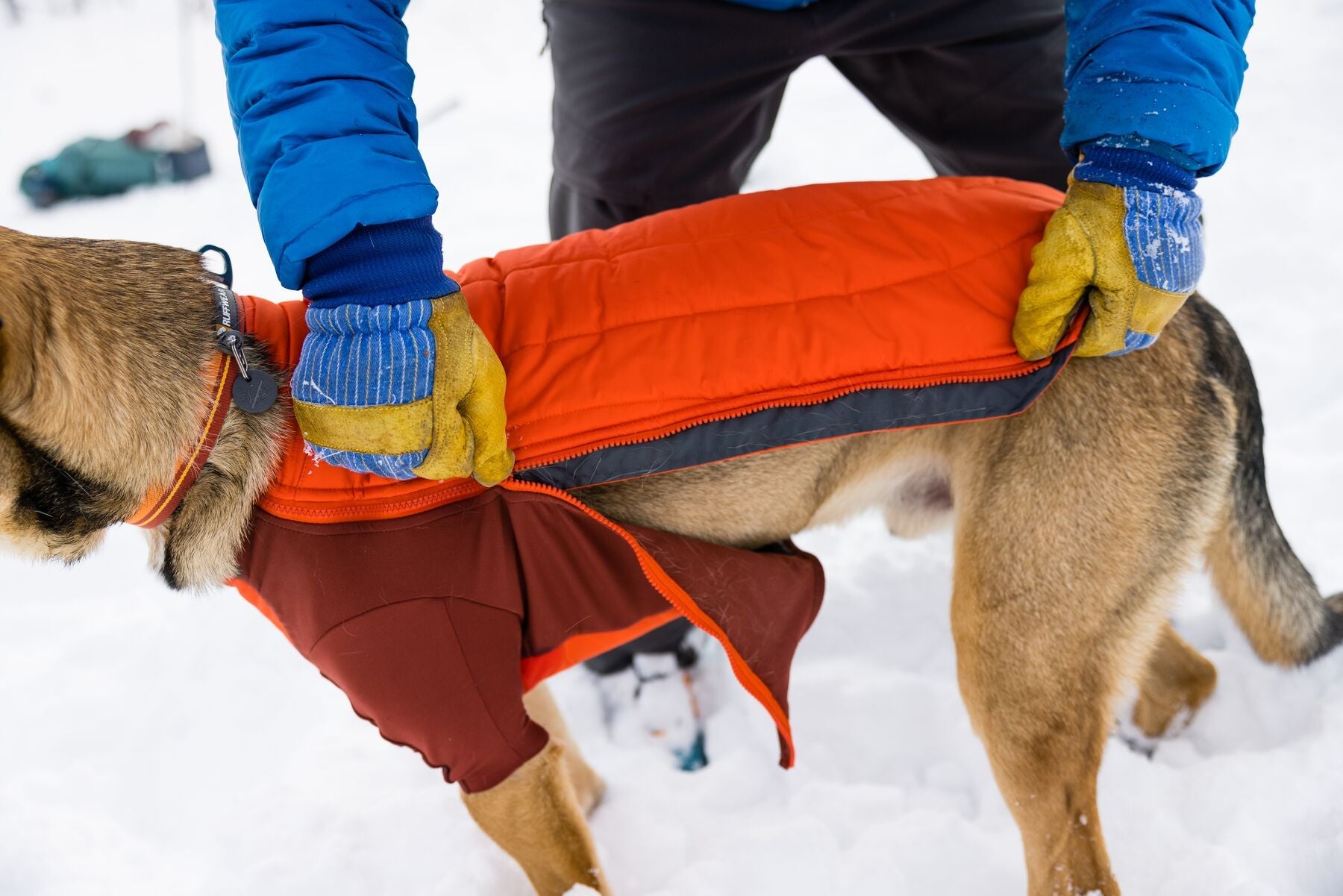 Powder Hound™ Jacket - Ruffwear - SnowPaw Store - Ruffwear - Dog Coats