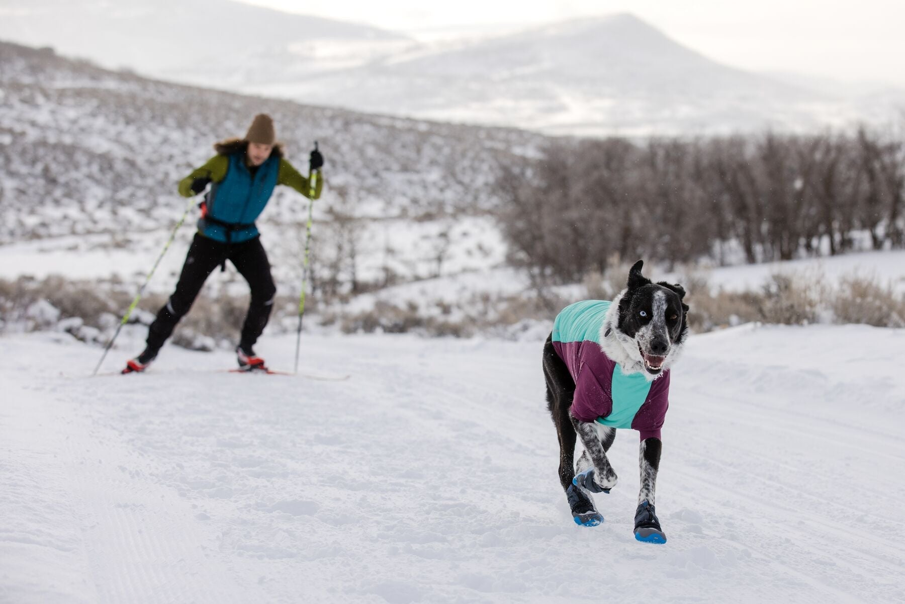 Powder Hound™ Jacket - Ruffwear - SnowPaw Store - Ruffwear - Dog Coats