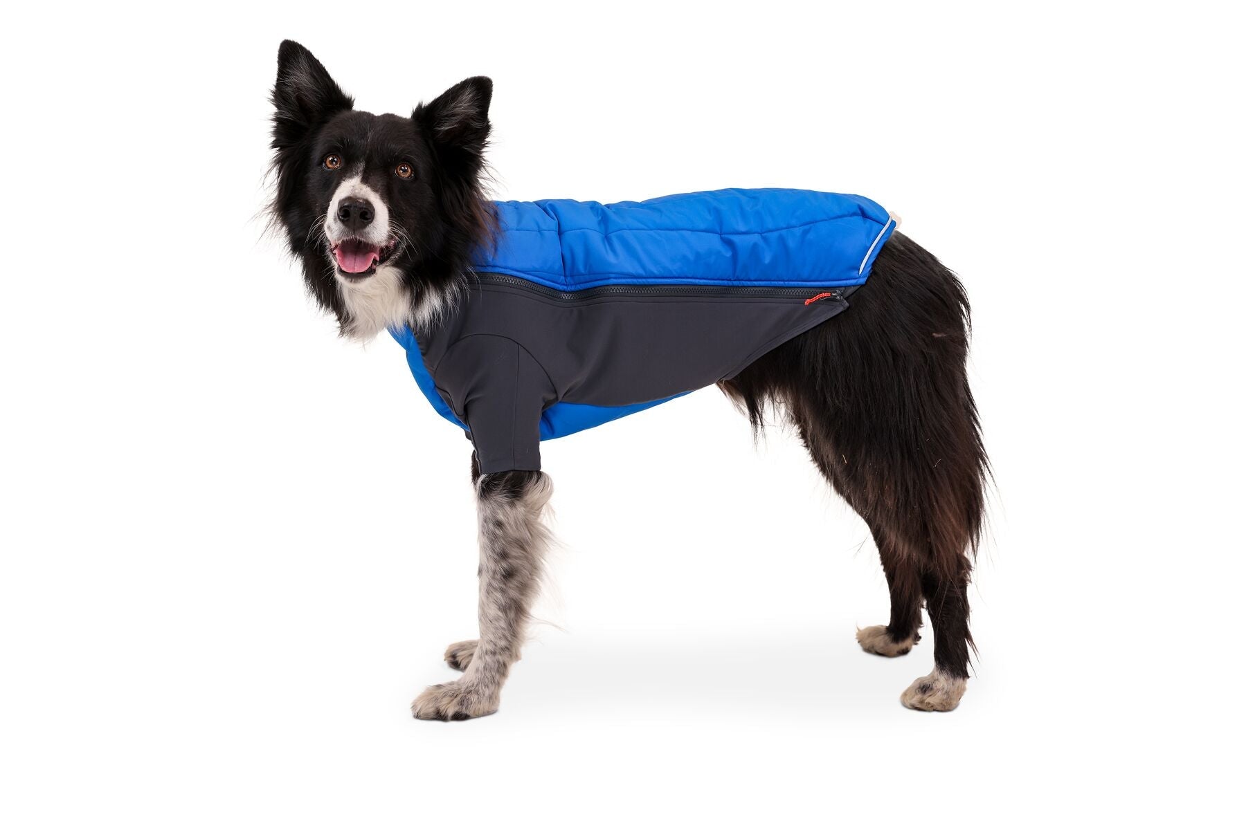 Powder Hound™ Jacket - Ruffwear - SnowPaw Store - Ruffwear - Dog Coats