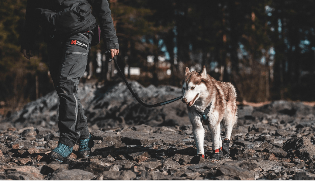 Protector Bootie (Non - Stop Dogwear) - SnowPaw Store - Non - Stop Dogwear - Dog Boots